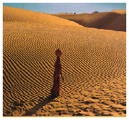 Rajasthan Desert Circuit 